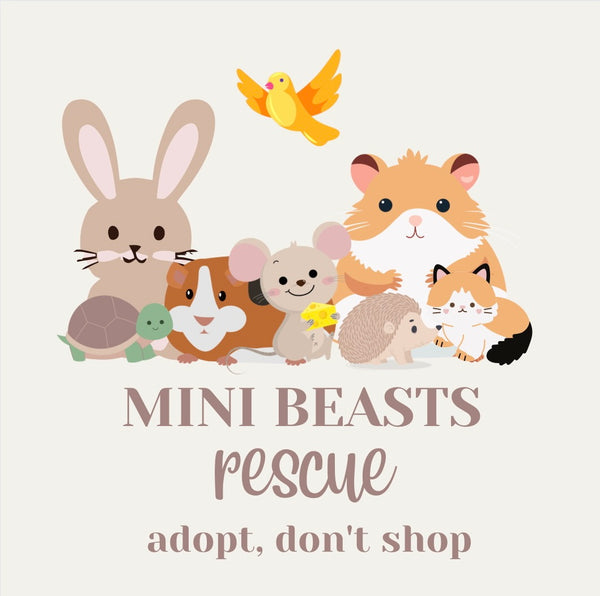 Mini Beasts Rspca Reptiles – Mini Beasts Rescue